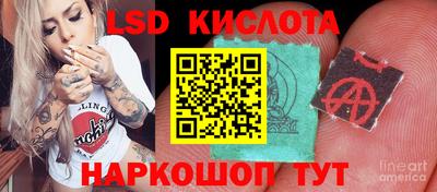 стафф Малгобек