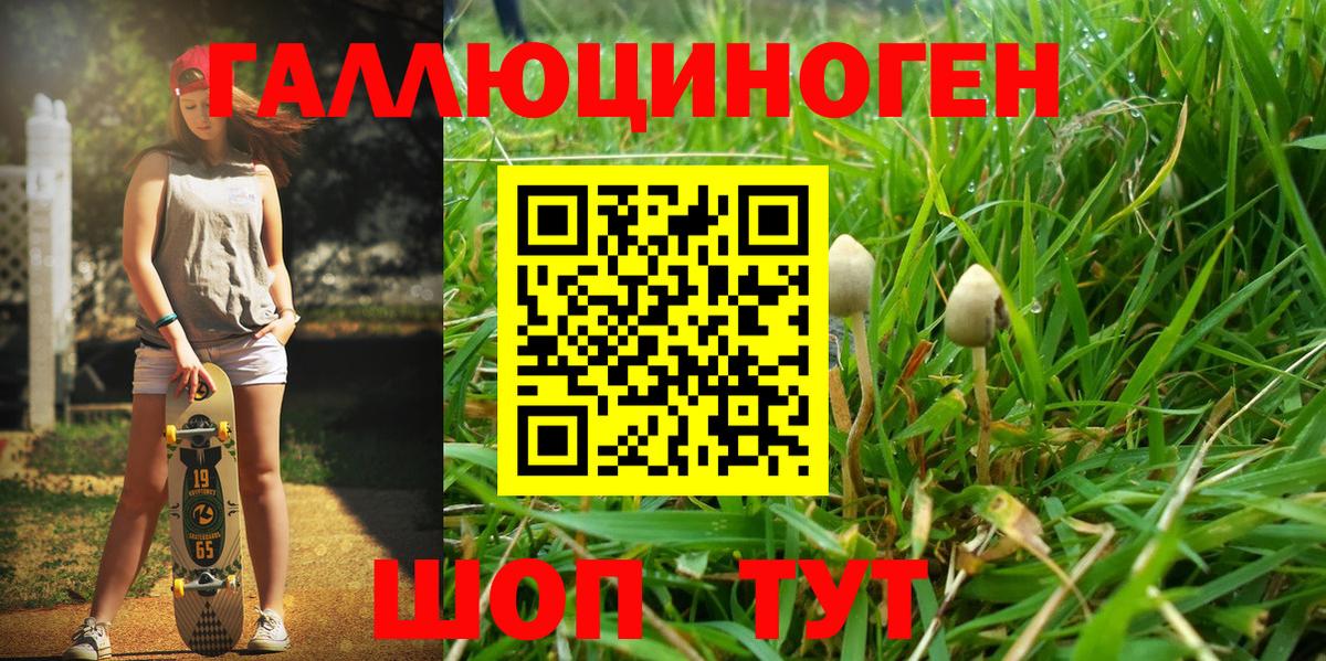 Псилоцибиновые грибы мицелий Жигулёвск