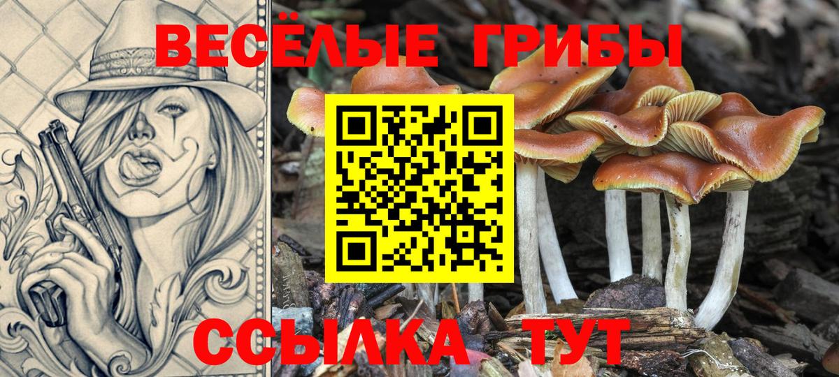 Жигулёвск  Галлюциногенные грибы GOLDEN TEACHER  Вход с VPN 